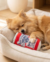 Barkweiser Can Plush Squeaky Dog Toy