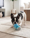 LickCroix Purebred Squeaker Plush Dog Toy - 2 Sizes