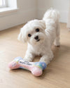 Pink Ombre Chewy Bone Plush Squeaky Dog Toy - 3 Sizes