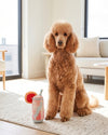Pawloma Peachy with Cute Garnish Plush Squeaky Dog Toy