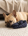 Black Checker Chewy Loafer Shoe Plush Squeaky Dog Toy