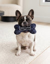 Black Checker Chewy Bone Plush Squeaky Dog Toy - 3 Sizes