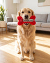 Chewlulemon Red Bone Plush Squeaky Dog Toy