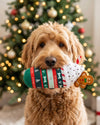 Starbarks Ginger Bark Latte Christmas Holiday Plush Squeaky Dog Toy