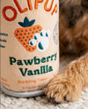 Olipup Pawberry Vanilla Can Plush Squeaky Dog Toy