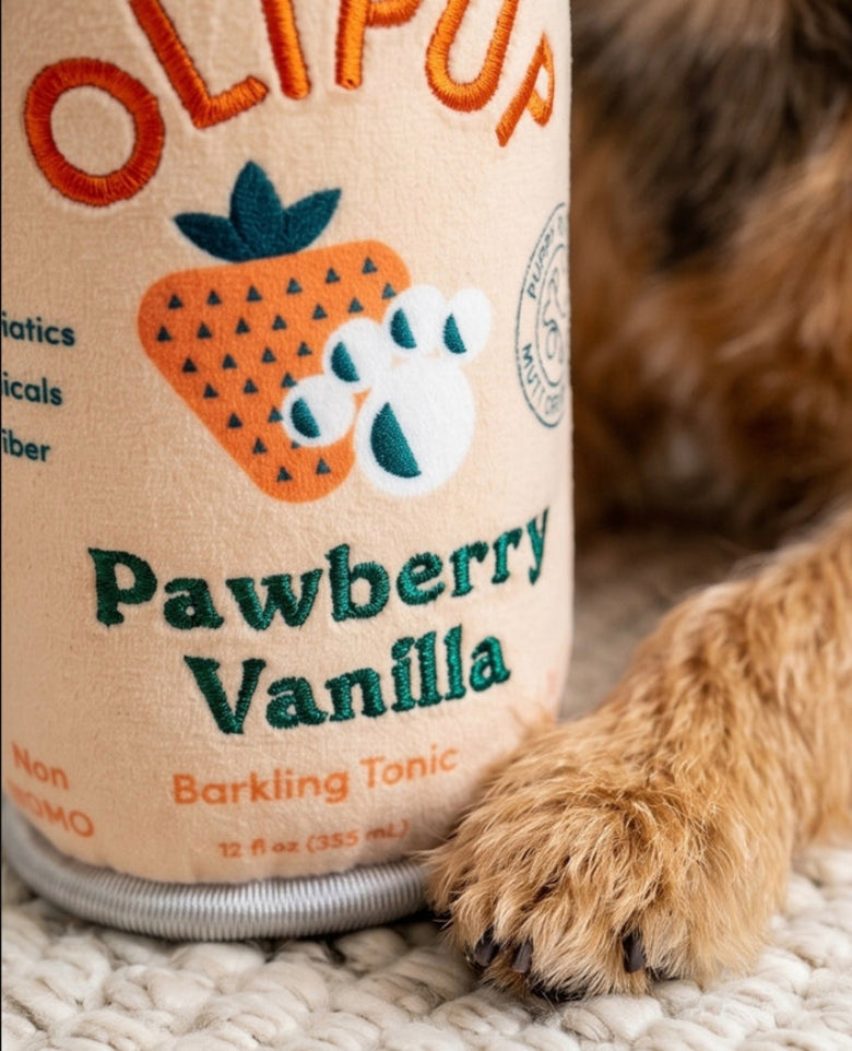 Olipup Pawberry Vanilla Can Plush Squeaky Dog Toy