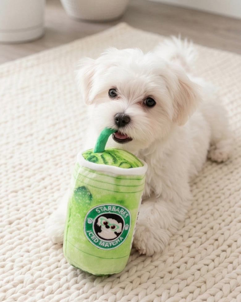 Starbarks Iced Matcha Green Plush Squeaky Dog Toy