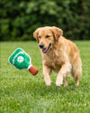 Pickleball Paddle Green Stripe Plush Squeaky Dog Toy