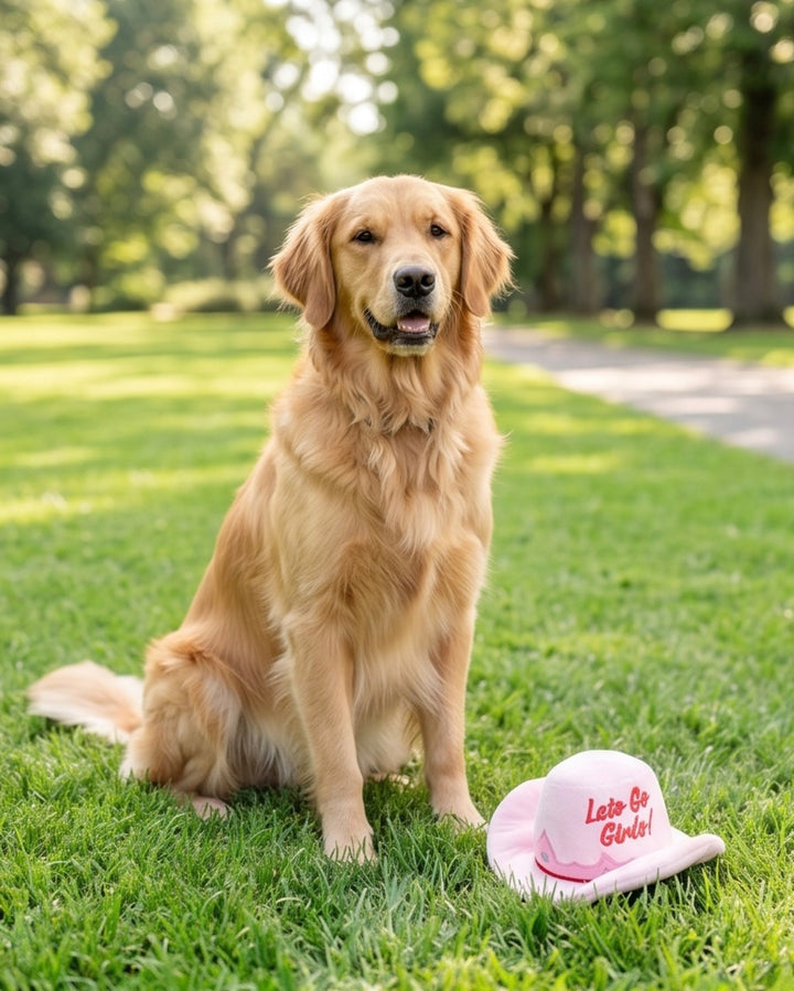 Pink Cowgirl Western Hat Plush Squeaky Dog Toy