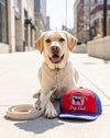 All American Dog Club Trucker Hat Plush Squeaky Dog Toy
