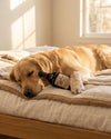 Woof Reserve Cabarknet Bottle Plush Squeaky Dog Toy