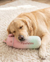 Pawlates Princess Water Bottle Plush Squeaky Dog Toy