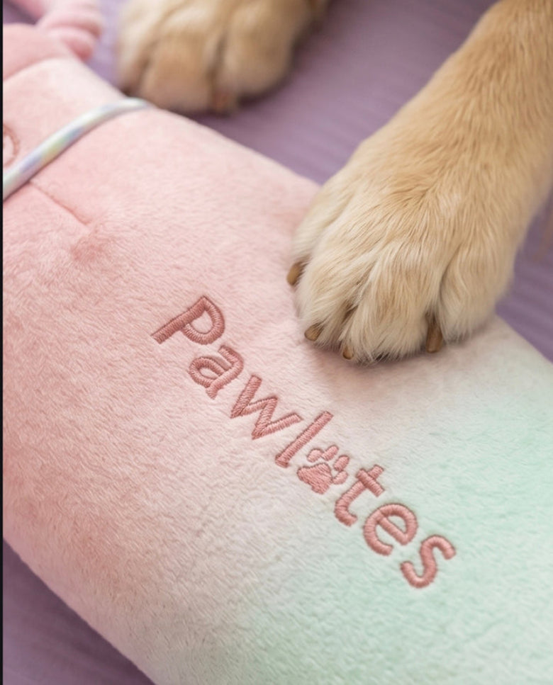Pawlates Princess Water Bottle Plush Squeaky Dog Toy