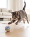 Kitty V Balls (Mono) Cat Toy Set - 3 PC