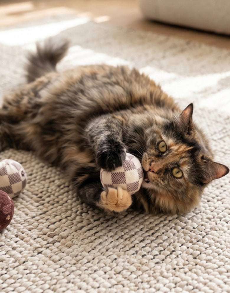 Kitty V Balls (Checker) Cat Toy Set - 3 Pc