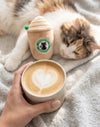 Meowbucks Coffee Cups Cat Toy Set - 2 Pc