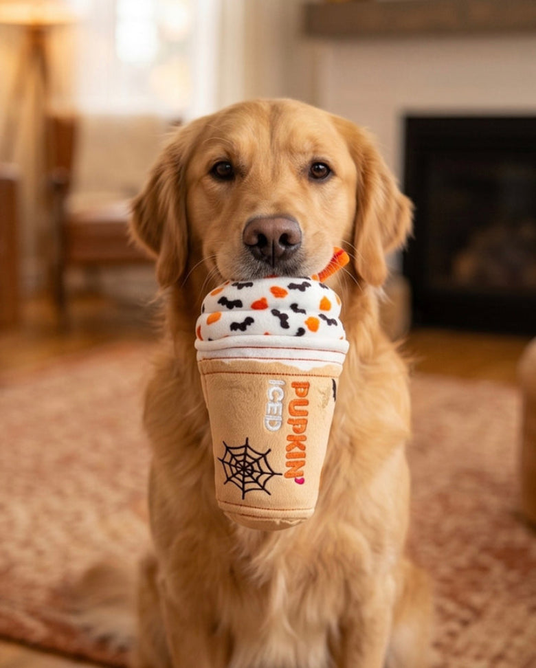A golden retriever dog holds a plush pumpkin-themed drink cup toy in its mouth while sitting indoors on a patterned rug. The toy is designed to look like a pumpkin-spice latte cup with a white faux-frosted top decorated with black and orange Halloween motifs, and a tan lower section printed with 'Pumpkin Spice' and a spiderweb graphic.