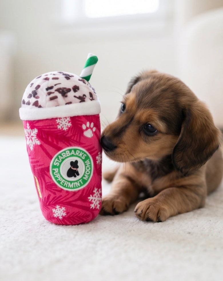 Starbarks Original Puppermint Mocha Christmas Holiday Plush Squeaky Dog Toy - 3 Sizes