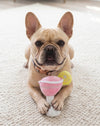 Cosmuttpolitan with Lemon Plush Squeaker Dog Toy