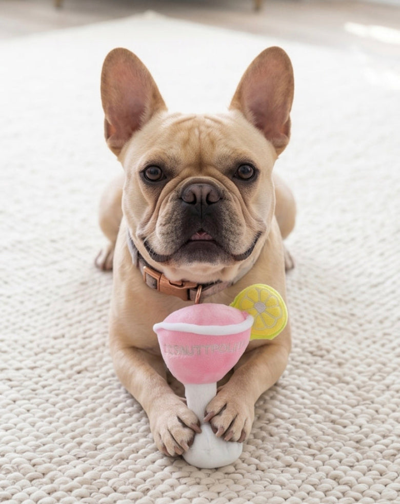 Cosmuttpolitan with Lemon Plush Squeaker Dog Toy