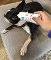 Warren London Spa Product Instant Ear Cleaner For Dogs 12 oz or 1 gallon - Professional Size - Removes Wax and Odor