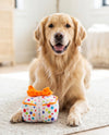 Happy Birthday Gift Box Colorful Dots Plush Squeaky Dog Toy