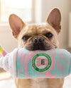 Starbarks Dogicorn Frapawccino Plush Squeaky Dog Toy