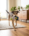 Grrrona Extra Can with Cute Garnish Plush Squeaky Dog Toy
