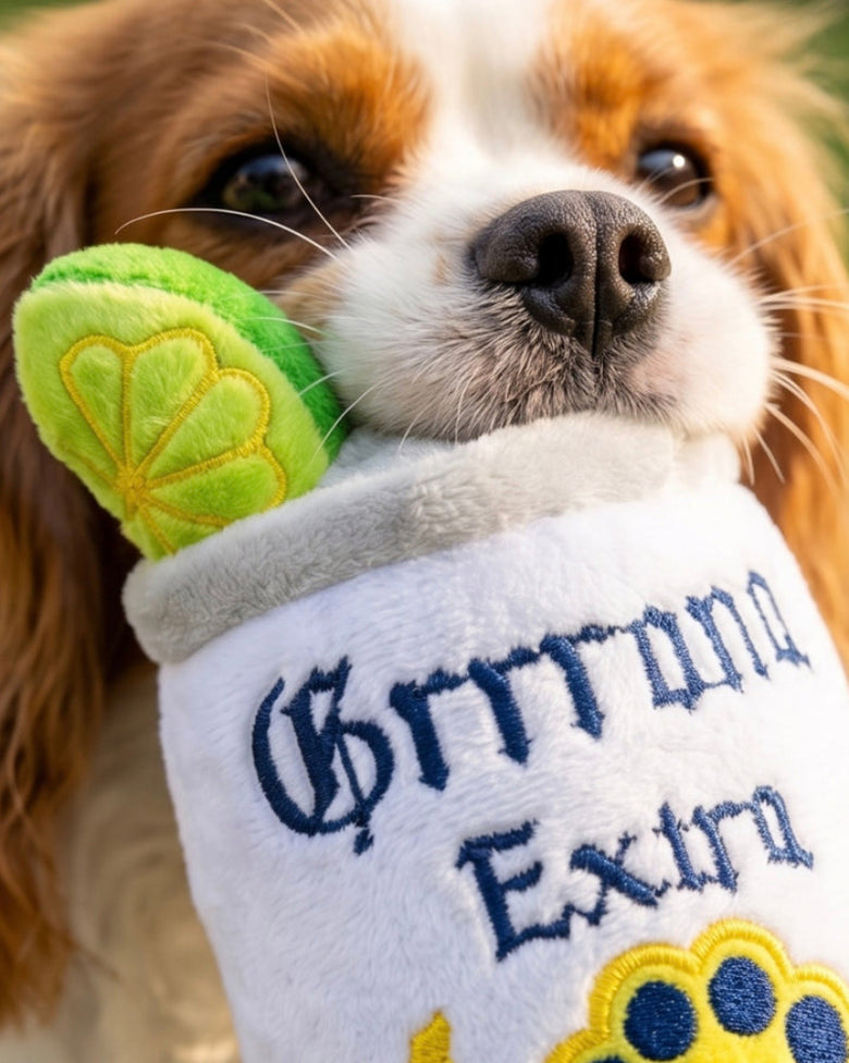 Grrrona Extra Can with Cute Garnish Plush Squeaky Dog Toy