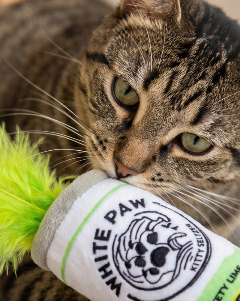 White Paw (Mango & Lime) Cat Toy Set - 2 Pc