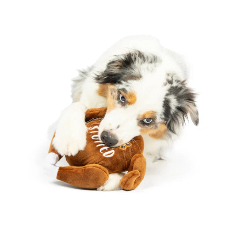 I'm Stuffed Turkey Fall Thanksgiving Holiday Power Plush Squeaky Dog Toy - 2 Sizes
