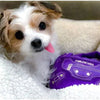Pawlenciaga Purple HandBag Plush Squeaker Dog Toy
