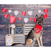 Hunter K9 Bandanas Official Valentine Cutie Red Dog Bandana