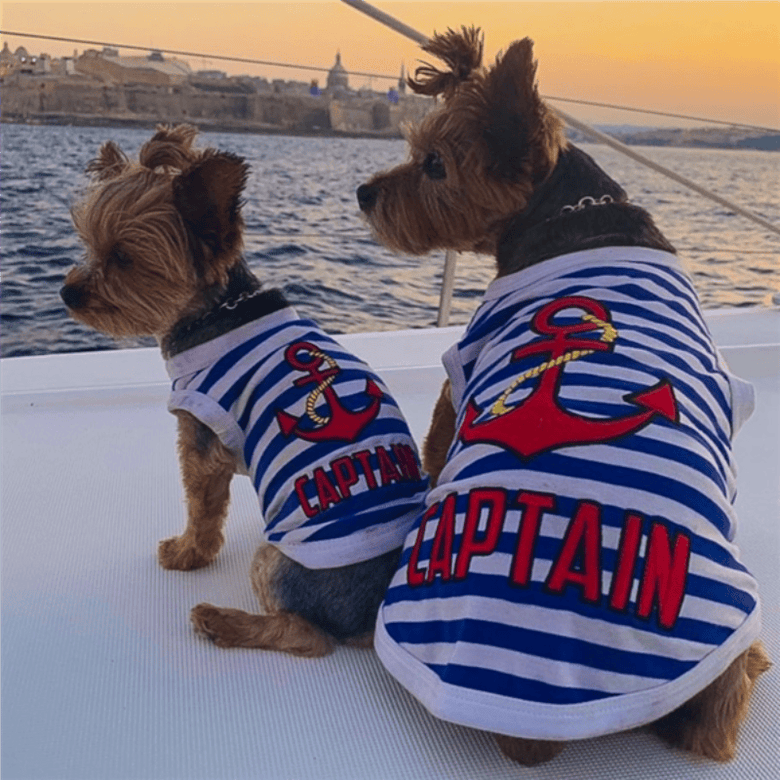 Parisian Pet Tee's S Captain Dog Tee