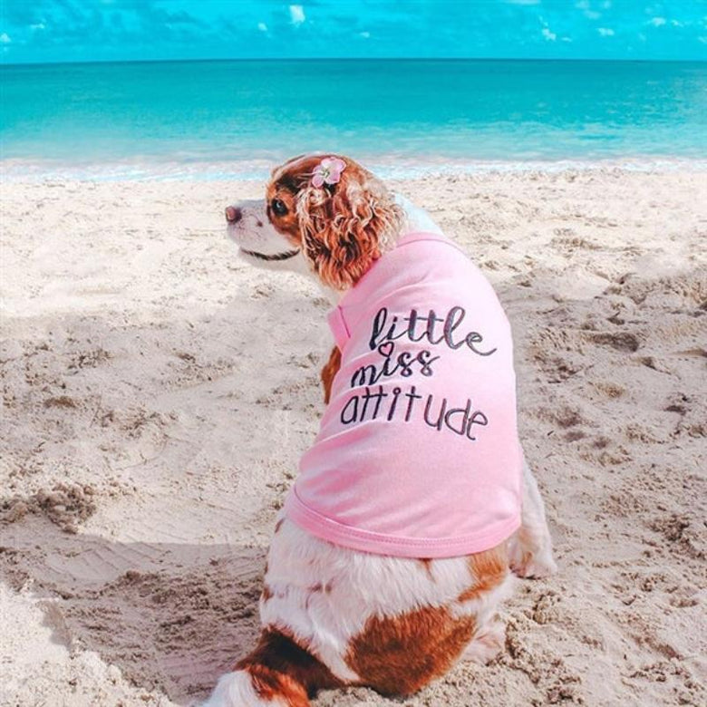 Parisian Pet Tee's L Little Miss Attitude Pink Dog Tee