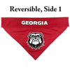 Georgia Bulldogs Reversible Reflective Pet Bandana - S/M