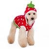 Dogo Pet Sweaters 2XL Strawberry Dog Sweater - Only Available in Size 2XL