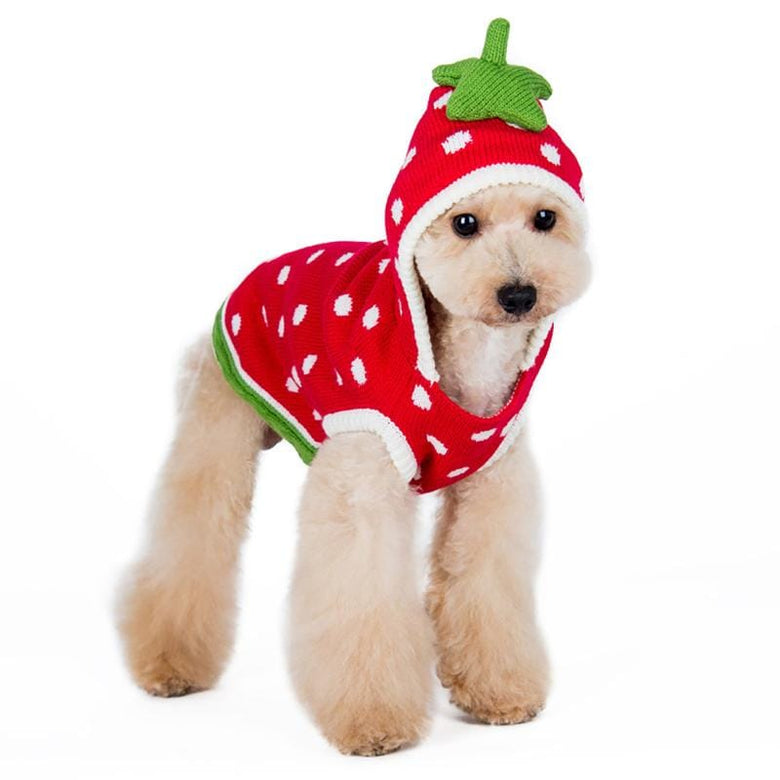 Dogo Pet Sweaters 2XL Strawberry Dog Sweater - Only Available in Size 2XL