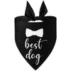 AE-SUCADO Bandanas Best Dog Bowtie Print Pet Bandana - Blk