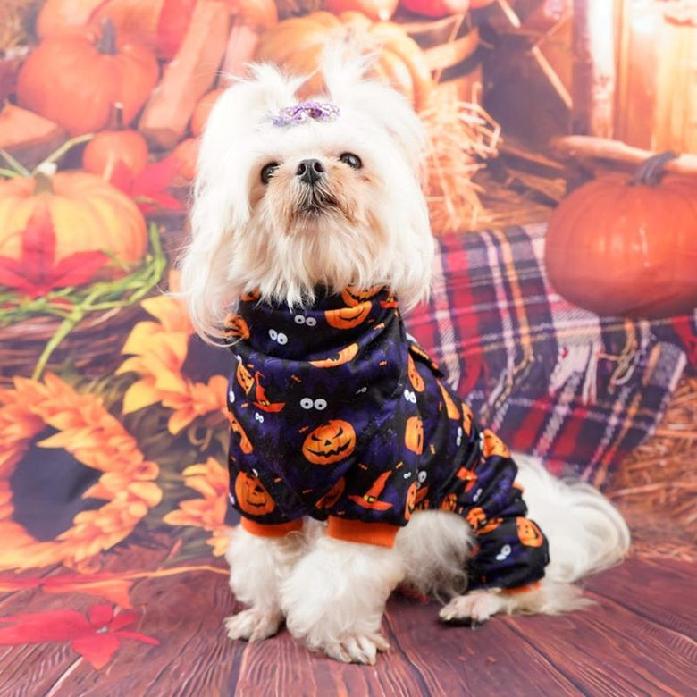 AE-FANTASYH&G dog apparel Halloween Pumpkins Print Pet Jumper