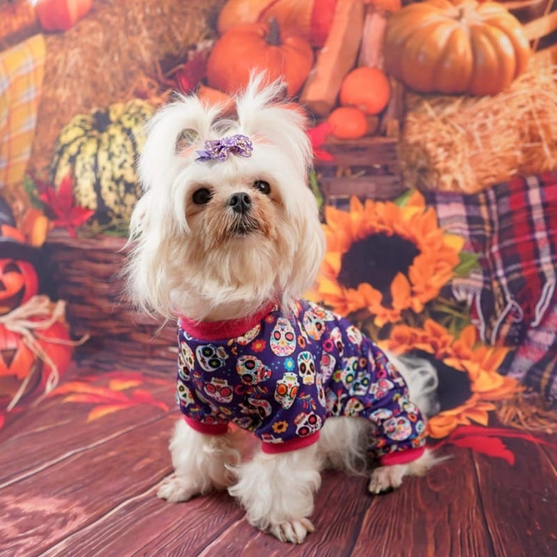 AE-FANTASYH&G dog apparel Halloween Skull Dog Jumper