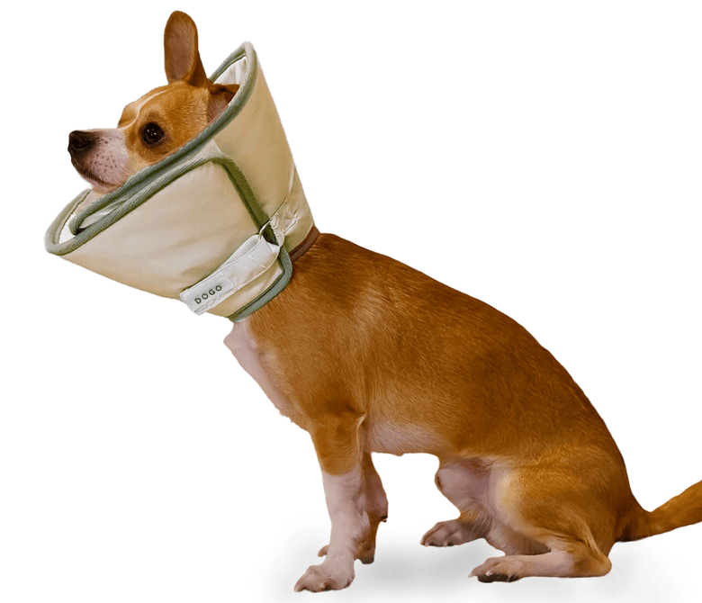 DogoPet.com Recovery E-Collar Get Better Recovery E-Collar