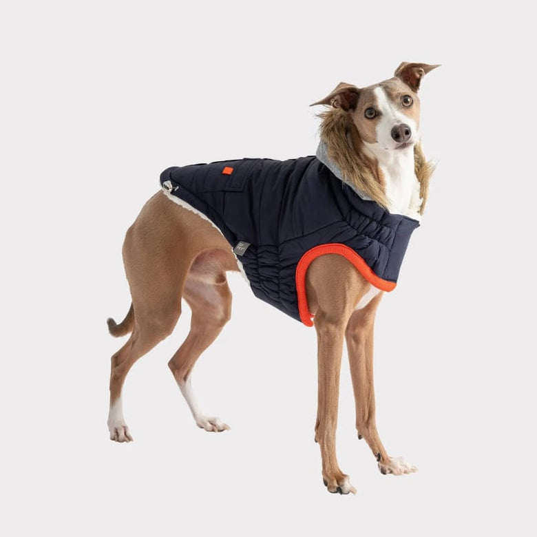 GF Pet Jackets XXS Winter Sailor Navy Dog Parka - Only Available in Size 2XS
