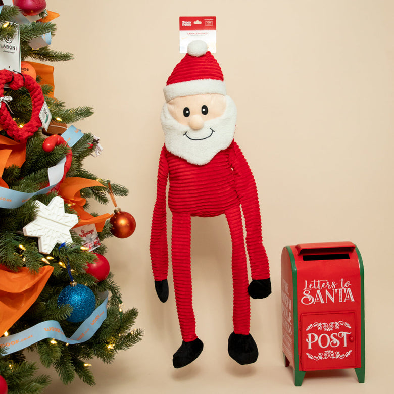 Christmas Holiday Crinkle Santa Plush Squeaky Dog Toy - 3 Sizes