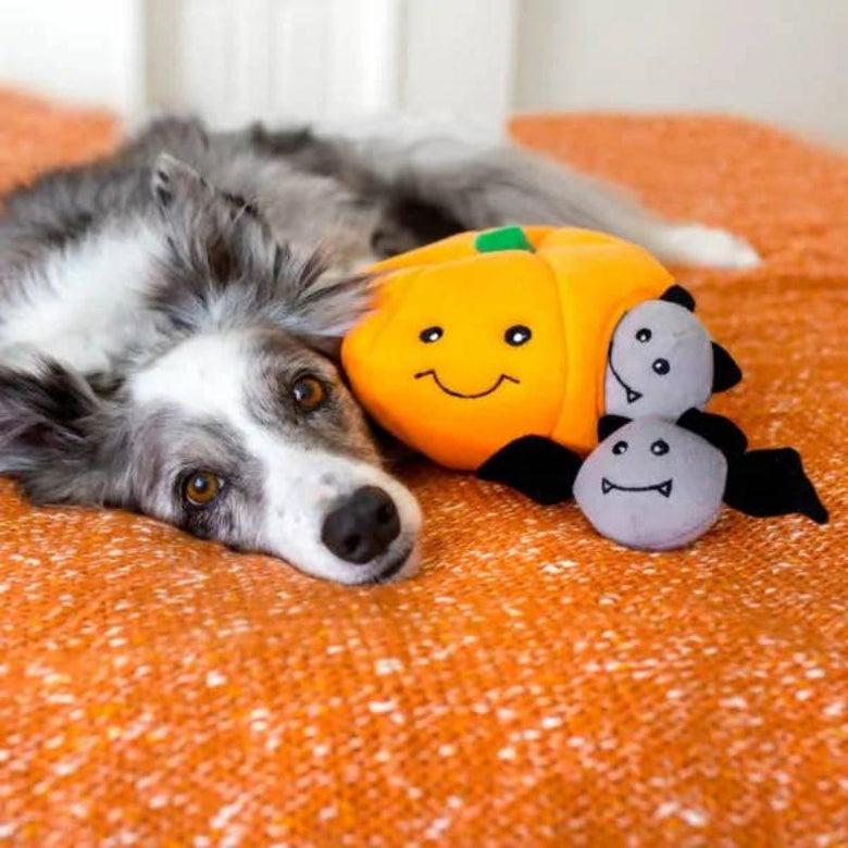 ZippyPaws dog toys Halloween Burrow Pumpkin With Bats Interactive Dog Toy