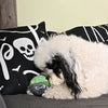 Howloween Night Witches Brew Ball Squeaky Dog Toy
