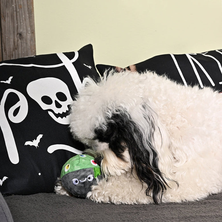 Howloween Night Witches Brew Ball Squeaky Dog Toy