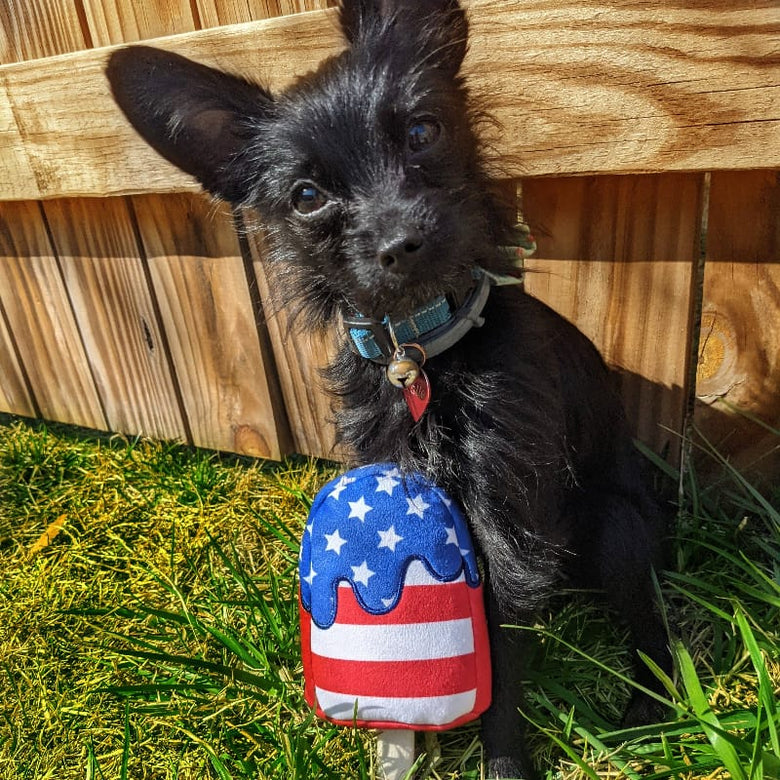 Huxley & Kent dog toys Star Pop and Stripes Plush Squeaky Dog Toy