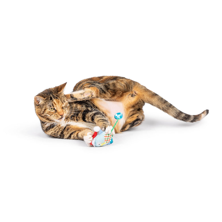 Christmas Holiday Bird Chirpy Interactive Cat Toy