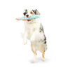 Huxley & Kent Huxley & Kent - Fetchies® Travis Trout Dog Toy: Small